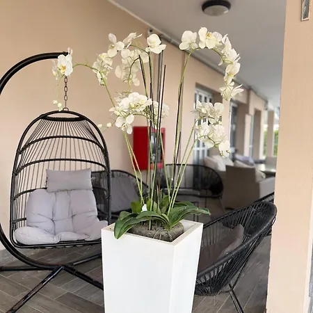 Hotel Mima